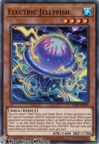 Led9 en019 electric - electric, jellyfish